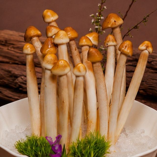 荔枝菌